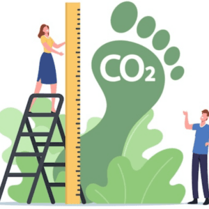 Comment mesurer l’impact environnemental de votre Direction des Systèmes d’Informations (DSI)